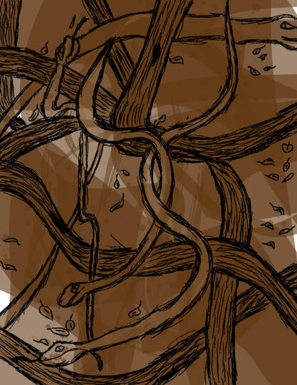 Tree Snakes