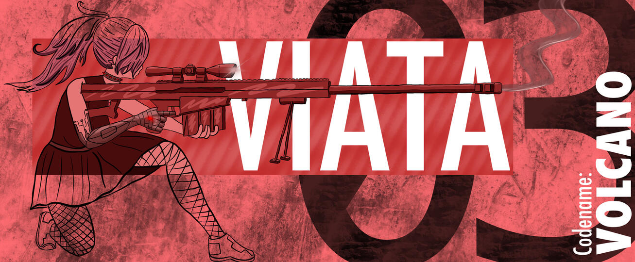 Viata Banner